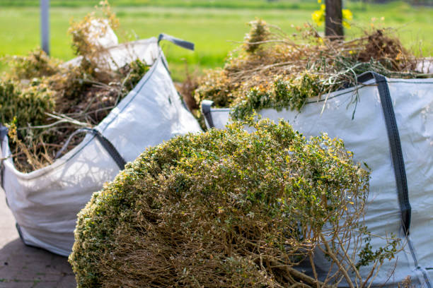 Best Yard Cleanup Services  in James City, NC